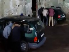Capri cavalli će zadovoljstvo član