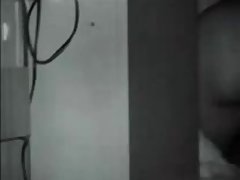 Slatko voli članovi