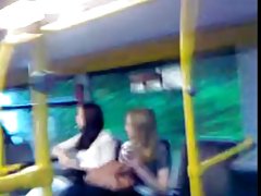 Tajnica spašava od dosade sisama